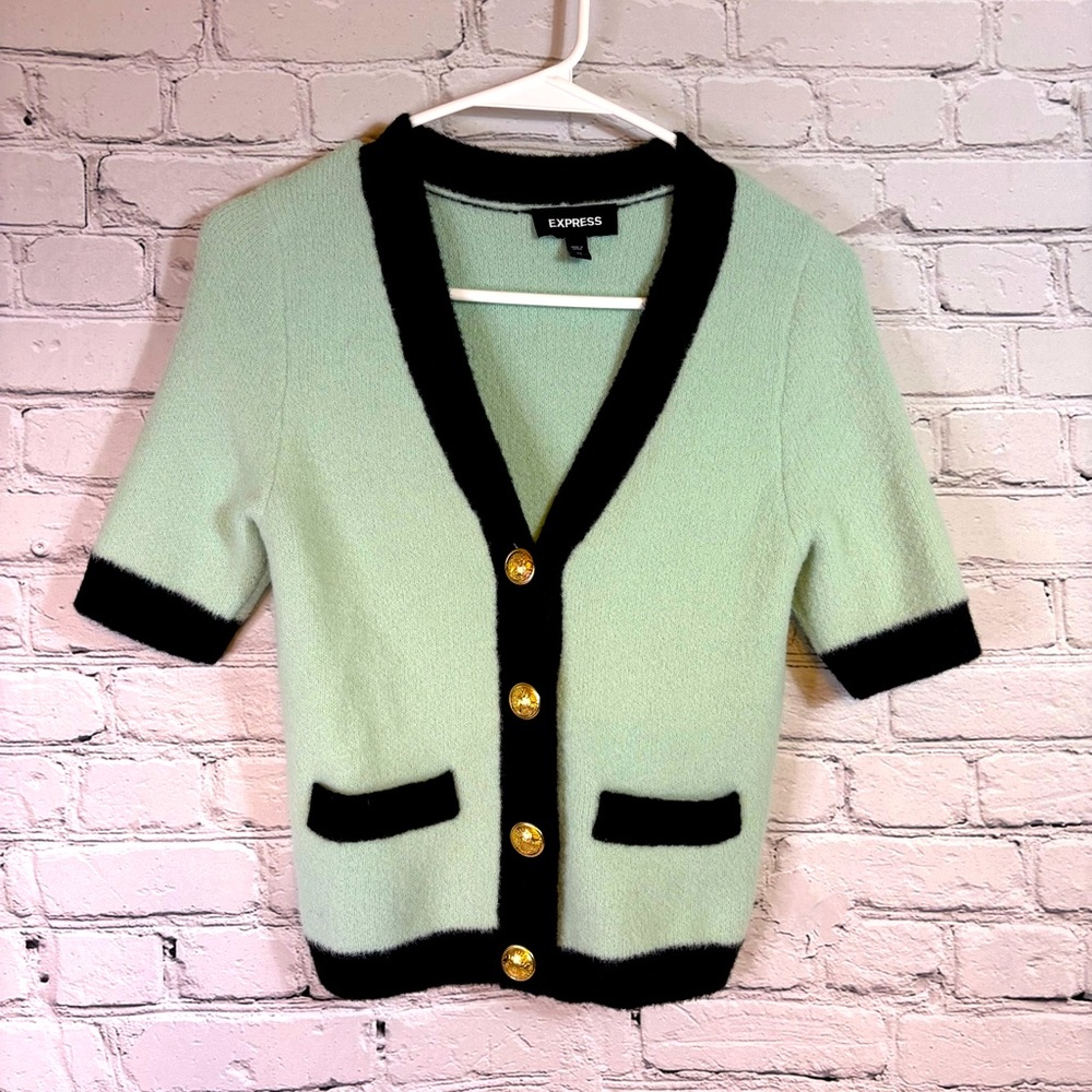 Express Mint Fuzzy Sweater with Gold Buttons